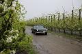 MG Bloesemrit op 24-4-2016 org. Jos&Marie-lou  (104)